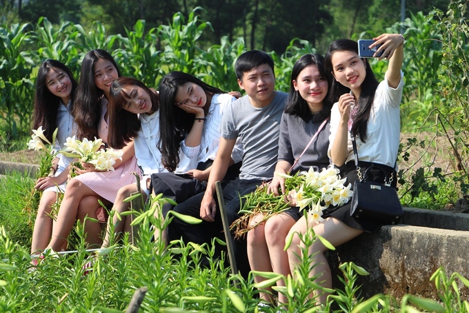 Người dân Huế thu hàng chục triệu đồng mỗi vụ hoa loa kèn